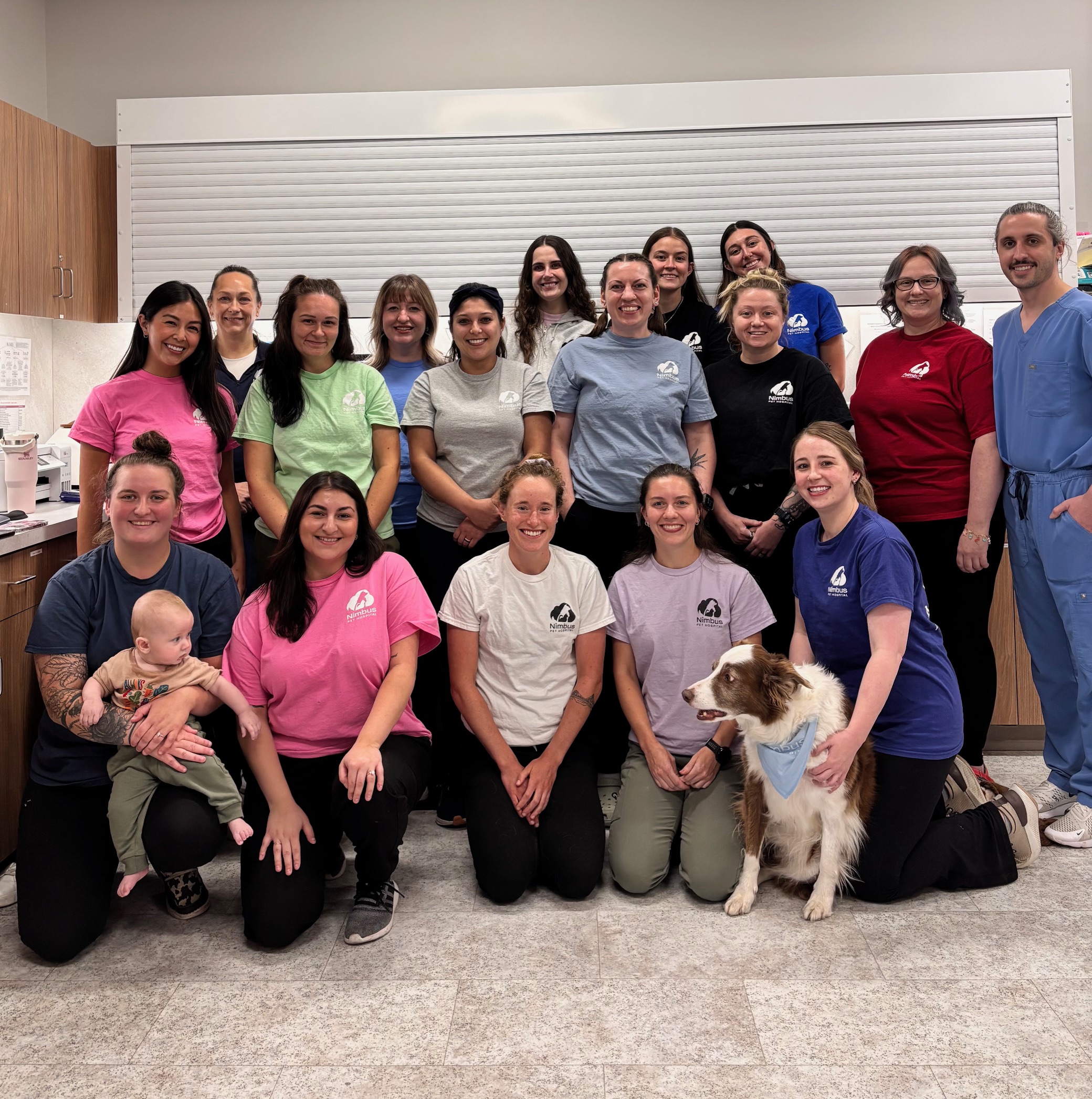 Veterinary professionals working diligently in a clinical setting