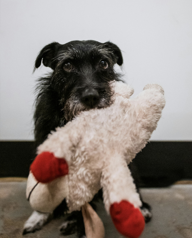 foreign body removal